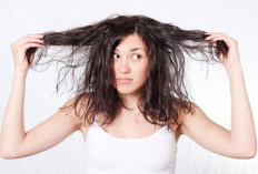Rambut Kering? Ini Penyebab dan Cara Mengembalikan Kelembapannya