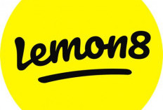 Lemon8 Jadi Aplikasi Favorit Anak Muda untuk Inspirasi Outfit, Resep dan Ide Kreatif Lainya