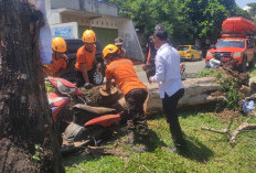 Motor Rusak Parah Tertimpa Pohon Tumbang di Dekat SMPN 7 Bandar Lampung