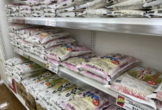 Sempat Loncat Tinggi, Harga Beras di Jepang Kini Turun di Bawah Rp 342 Ribu per 5 Kg