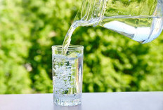 Minum Air Putih Segelas Setelah Bangun Tidur Bisa Aktifkan Metabolisme Lebih Cepat