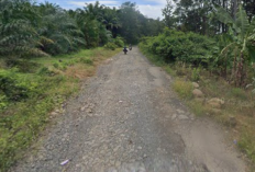 Sudah Lama Rusak, Jalan Rantau Temiang–Banjit Dipenuhi 'Kolam' dan Bebatuan