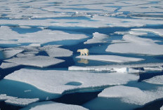 Kehilangan Triliunan Ton Es Antartika dan Greenland Picu Kenaikan Permukaan Laut Global