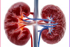 Bahaya! Ini Jenis Obat-obatan yang bisa Merusak Ginjal