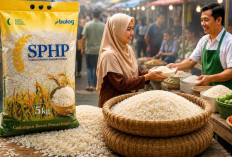 El Niño Menguji Ketahanan Pangan Indonesia, Cadangan Beras Tertinggi Belum Hentikan Risiko Kekeringan