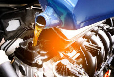 Oli Dianggap Sepele, Padahal Penentu Umur Mesin