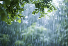 Cuaca Ekstream Di Lampung, Ini Hal Yang Perlu Diwaspadai Warga