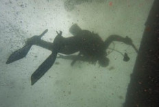 Penyelam Hilang di Kedalaman 40 Meter Saat Angkat Bangkai Kapal di Probolinggo