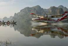 Pesawat Amfibi Malaysia Dikerahkan Padamkan Karhutla Sumatera, Sekali Angkut 6.137 Liter Air
