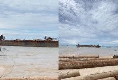 Tongkang Bermuatan 4.800 Kubik Kayu Asal Sumbar Terdampar di Pesisir Barat, Kayu Rusak Perahu Nelayan