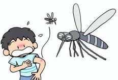 Demam Berdarah Bisa Dicegah, Aksi Komunitas Jadi Garda Terdepan