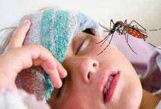Jaga Kesehatan! Musim Hujan Rawan Penyakit Hingga DBD