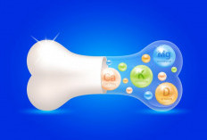 Agar Tulang Tetap Kuat dan Sehat, Ini Rahasia Manfaat Kalsium!