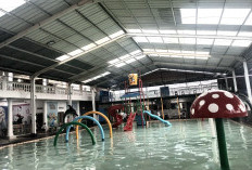 Intip Keunggulan Kolam Renang Menza Bandar Lampung, Semi-Indoor, Aman, dan Ramah Keluarga