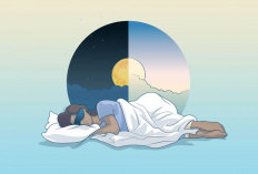 Bangun Tidur Berkualitas, Rehabilitasi Sederhana untuk Lawan Insomnia