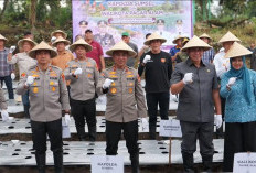 Bukan Sekadar Tanam Bawang, Budidaya di Tanggamus Kini Jadi Rujukan Empat Polres Sumatra Selatan 