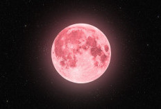 Fenomena Strawberry Moon Hiasi Langit Malam Ini, Mengapa Disebut Demikian?