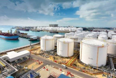 Pedagang Kecil Hadapi Tekanan dari Stok Langka dan Wacana Harga Minyakita