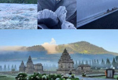 Embun Upas Kembali Hiasi Dieng, Wisatawan Antusias Menyaksikan Fenomena Alam Langka