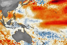 El Nino Kuat Diprediksi Bersamaan dengan IOD Positif, Waspadai Dampaknya
