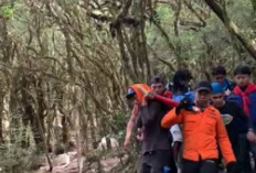 31 Pendaki Gunung Bawakaraeng Alami Gangguan Kesehatan, Satu Masih Dievakuasi