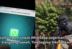Ancaman Bom Lewat WhatsApp Gegerkan SDN 15 Srengseng Sawah, Tim Gegana Lakukan Sterilisasi