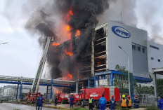 Pabrik PT Evyap Sabun Indonesia di KEK Sei Mangkei Terbakar, 3 Pekerja Tewas