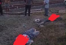 Mobil Pelajar di Negara Ratu Lampung Utara Ditabrak Babaranjang, Dua Meninggal Satu Luka-luka