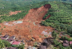 Longsor di Arjasari Timbun Lima Rumah, Tiga Warga Belum Ditemukan dan Upaya Evakuasi Terus Dikebut