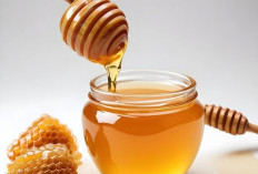 Madu Ga Bisa Basi, Emang Iya? Yuk Baca Selengkapnya