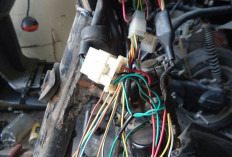 Banyak yang Belum Tahu! Ini Perbedaan Kelistrikan Motor AC dan DC