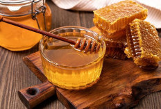 Madu Alami, Manisnya Bukan Sekadar Pemanis, Ini Manfaatnya bagi Tubuh
