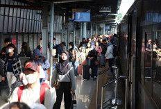 Adu Cepat di Ujung Jari: Fenomena 