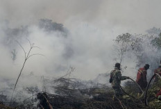 Karhutla Makin Parah, DPR Desak Pemerintah Tetapkan Status Bencana Nasional