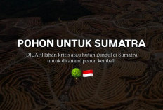 Lewat Kampanye “Pohon untuk Sumatra”, Jerhemy Owen Ajak Publik Pulihkan Hutan 