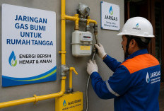 Pemerintah Percepat Pembangunan Jaringan Gas Rumah Tangga, Kurangi Ketergantungan LPG Impor