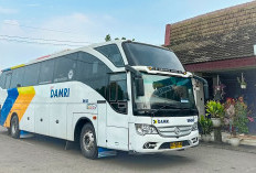 Survei DAMRI Dimulai, Suara Masyarakat Jadi Kunci Pengembangan Rute Baru di Lampung Selatan