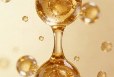 Mengenal Manfaat Kolagen Bagi Tubuh Serta Makanan Yang Mengandung Kolagen Alami