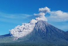 Semeru Kembali Gejolak, Puncak Jawa Semburkan Abu Vulkanik 800 Meter