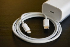 Charger Tidak Standar, Ancaman bagi Ponsel Anda