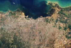 BRIN Sebut Sejumlah Wilayah Pantura Tenggelam hingga 10 cm per Tahun 