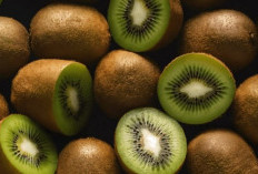 Tak Hanya Segar, Ini Lima Manfaat Buah Kiwi untuk Kesehatan Tubuh!
