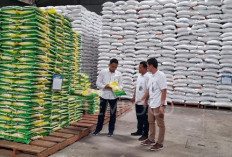Stok Beras Indonesia Capai 5,1 Juta Ton, Pemerintah Klaim Siap Hadapi El Nino