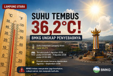 Lampung Utara Lagi Panas-Panasnya, Suhu Tembus 36,2°C! BMKG Ungkap Penyebabnya