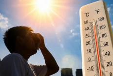 Suhu Capai 38,2° Celcius, Lampung Jadi Wilayah Terpanas di Indonesia