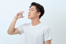 Lebih Dari Sekadar Penghilang Dahaga: Mengapa Air Putih Adalah 