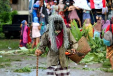 Mengenal Sekura Cakak Buah, Tradisi Topeng Lampung Barat yang Penuh Makna
