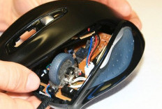 Mouse Tiba-Tiba Error? Ini Penyebab Umum yang Perlu Diketahui