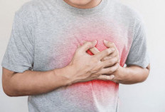 Mengapa Jantung Sering Berdebar-debar? Memahami Pemicu Medis dan Gaya Hidup