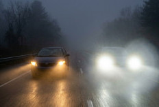 Lampu Halogen vs LED Saat Berkabut: Mana Lebih Unggul untuk Visibilitas Maksimal?